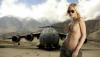 kartinkijane_ru-68743.jpg