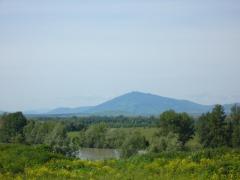 Предгорья Алтая