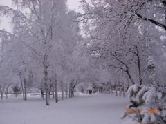 зимняя Вологда - 2.JPG