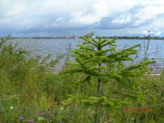 Кирилло-Белозерский монастырь.jpg