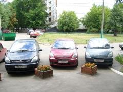 Пикассята с нашего двора