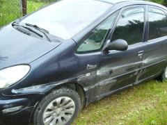 драная пикасса