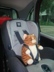 Хорошо сидим