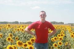 я в подсолнухах