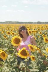 Зая и подсолнухи