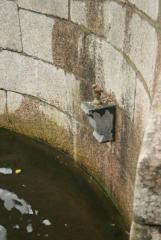 На Фонтанке