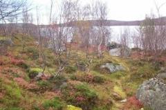 Москва-Мурманск