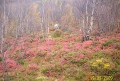 Москва-Мурманск