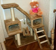 Домина. Общий план.