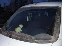 НЕТ СОПЛЕ!!!