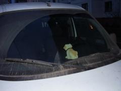 подогнули поводок