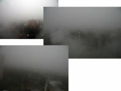 Виды из окна