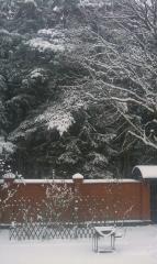 За окном зима2