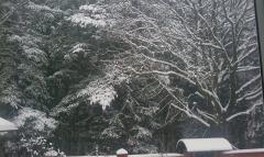 За окном зима