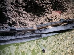 как лежат старые щётки