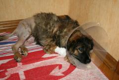 после оперции