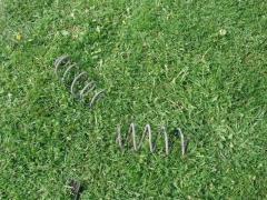 Задние пружины Ситроен С2