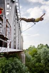 IMG_2936 copy1024.jpg