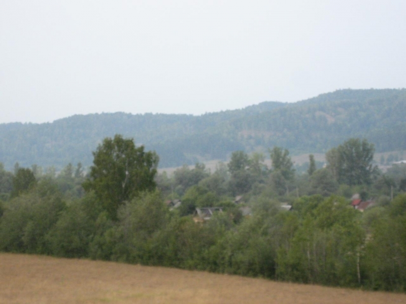 Алтай 2010