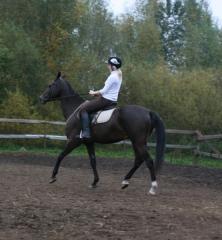 мы с Бахой-2