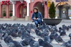 Румыния, ноябрь 2010