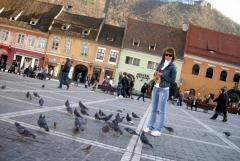 Румыния, ноябрь 2010