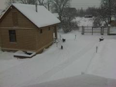 утро в деревне