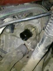 термостат на движке