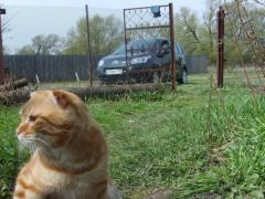 Пикассо и Пикотсо