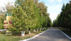 101 Пансионат   территория