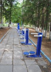 309 ДОЛ   Тренажерная аллея