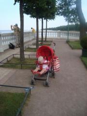 За булькой тянется)))