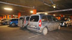 чумазые берлингосы