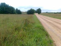 Место могилы деда