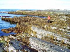 Немецкий в отлив