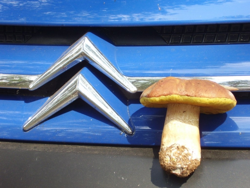 Шацкие озера