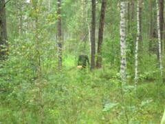 легко заблудиться