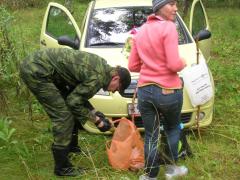 нашли много грибов