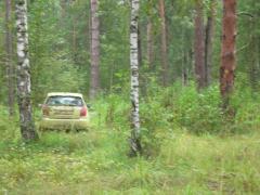 желтыш был виден издалека