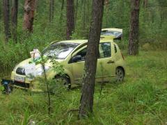 уютно расположившийся ситрик