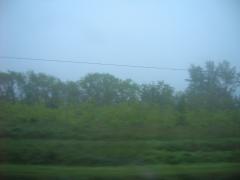 на трассе туман