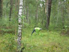 глухой лес и Елена