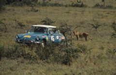 East African Safari 1965   CL 65 1 19 copyright DREUX   AZOULAY  SAUVIN   MATEL  .jpg