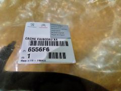 IMG 20151105 235850 HDR