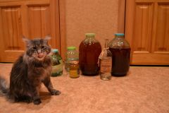 DSC 0181 новый размер