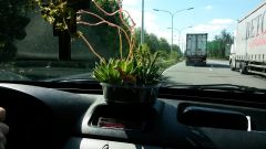 Оазис на торпедо.