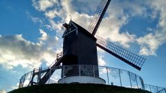 Molen