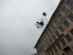 photo 2017 12 20 10 10 39