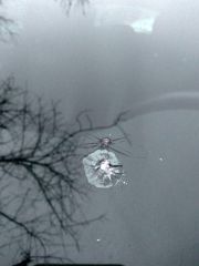 photo 2017 12 20 10 10 39 (2)