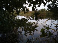 IMG 20171001 WA0003[1]